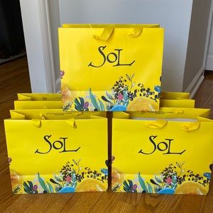 SOL Bundle of 5 Medium Shopping Bags 10”H x 12”W x 5”D
